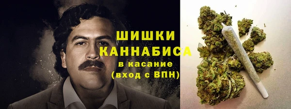 ГАЛЛЮЦИНОГЕННЫЕ ГРИБЫ Арсеньев