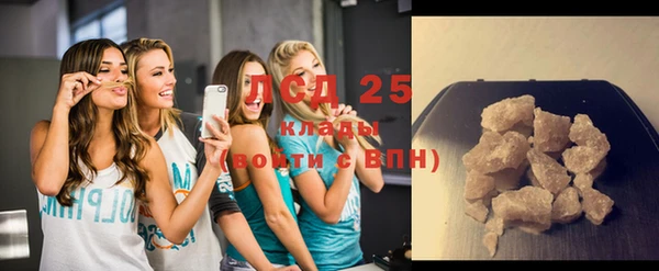 ГАЛЛЮЦИНОГЕННЫЕ ГРИБЫ Арсеньев