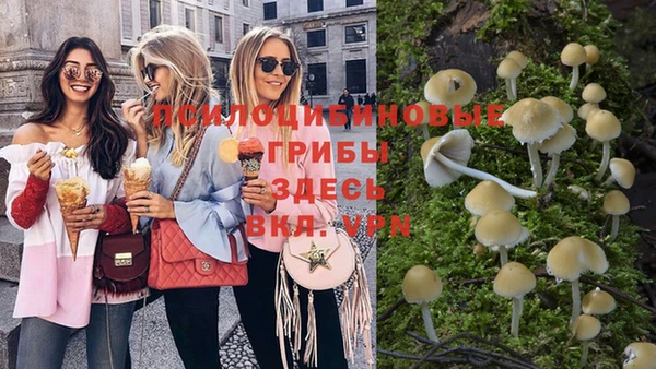 молекула духа Армянск