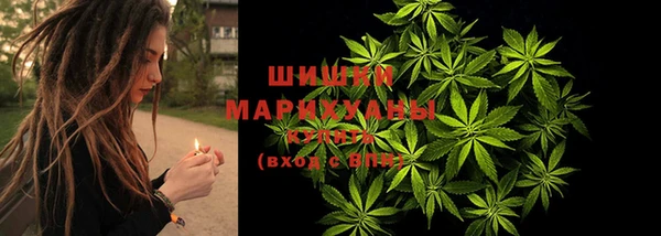 шишки Новодвинск