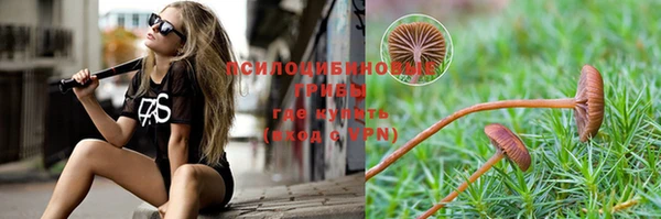 молекула духа Армянск