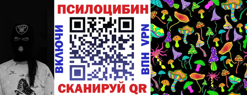 Псилоцибиновые грибы Cubensis  Славск 